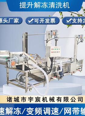 商用提升式解冻洗肉机鸡鸭鹅猪蹄解冻清洗机菌菇木耳清洗风干线