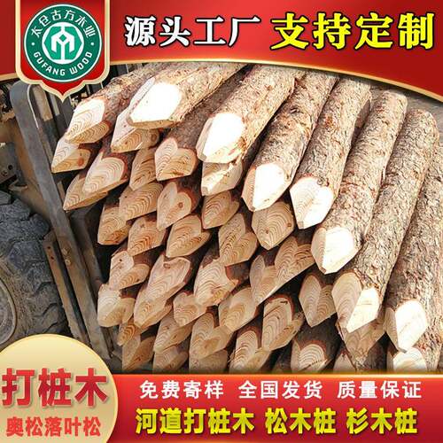 厂家河道打桩木防汛地基河岸护坡奥松铁杉原木松木桩可削尖