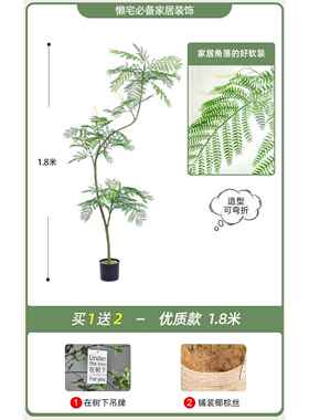 新款客厅装饰品摆件真轻奢高档仿绿植花楹室蓝大型落地入户玄关内