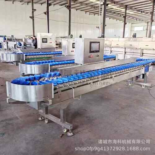 重量分盘级机 生蚝海参鲍鱼龙虾鸡产品盒转称重料分选机分鱼SZB拣