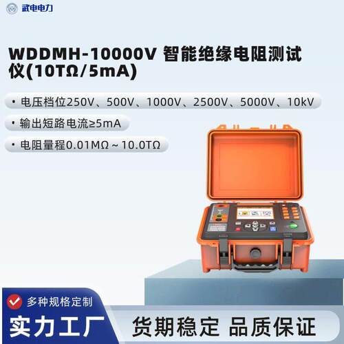 武电电力WDDMH-10000V智能绝缘电阻测试仪10TΩ/5mA测量分辨率