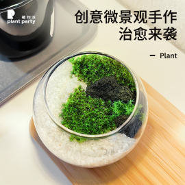 植物派创意微观绿植，手作套装苔藓，室内办公桌绿植玻璃圆形盆栽