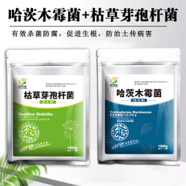 慧可丰哈茨木霉菌微生物菌剂枯草芽孢菌杆菌蔬菜果树根腐病杀菌剂