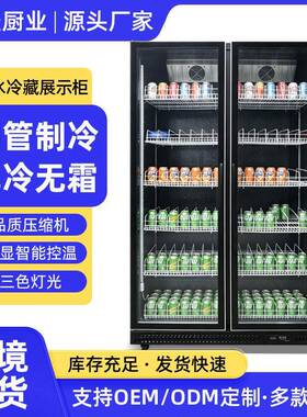 酒水柜商用酒吧KTV啤酒饮料冷藏展示柜大容量酒水饮料冷藏保鲜柜