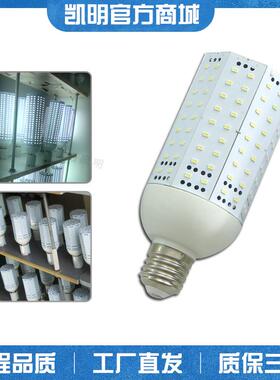 景观照玉明LED玉米灯280W米灯1000W玉1808米灯10WE4玉米灯