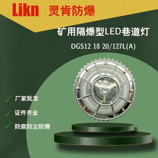 井下防爆照明灯DGS12 矿用隔爆型LED巷道灯DGS20 127L