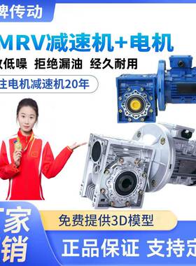 NMRV蜗轮蜗杆减速机RV030/040/050/063/075/090配YE3三相异步电机