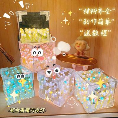 Handcraft 21Pieces Tulips Night Lamp Set 3D Cube Mirror and