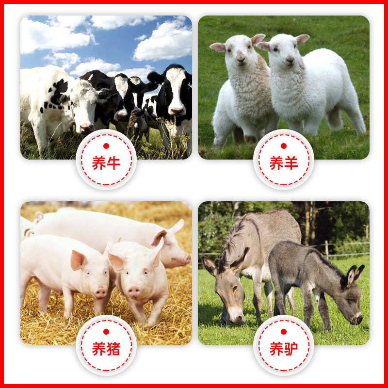 公里-能量a6遥控电子大养殖型xsd主机智能畜牧围栏报警10