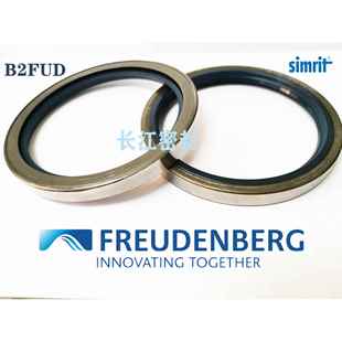 德国骨架油封CFW进口密封件B2U6115 140SIMRIT
