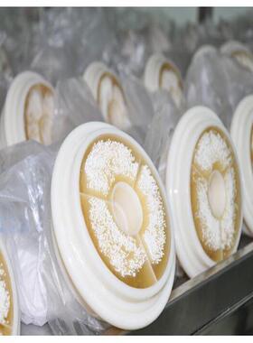 厂家直销8040工业6寸超滤膜厂家PVC膜水处理PVDF膜设备专用膜