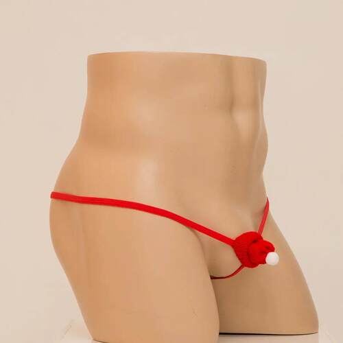 Sexy Mens Cock Christmas Hat Underwear Men T-back Panties