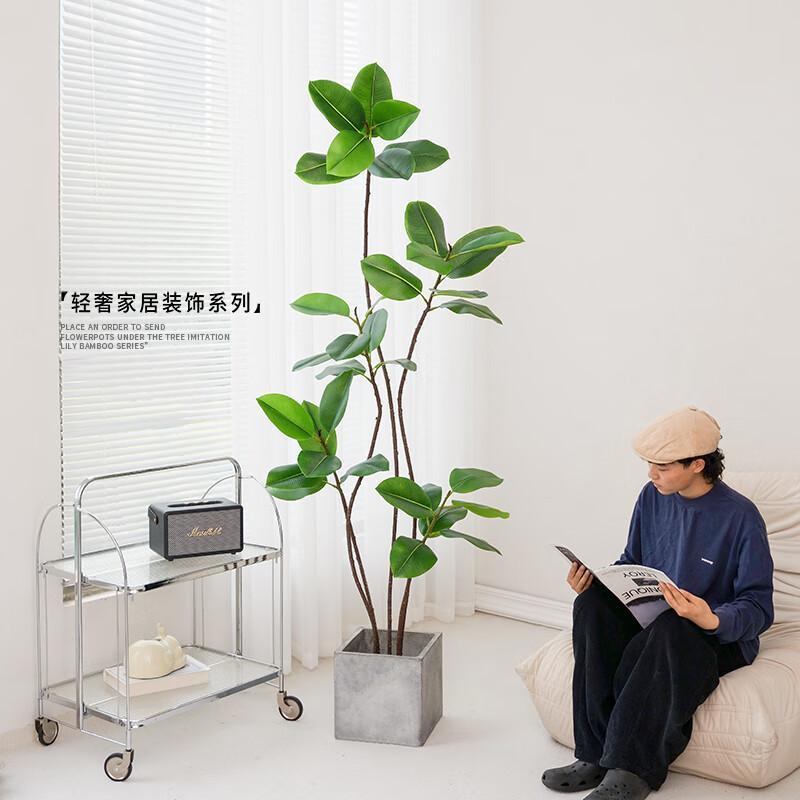 假仿绿植橡皮树客厅大室盆真栽内装饰高端轻奢仿橡皮树-T生植物落