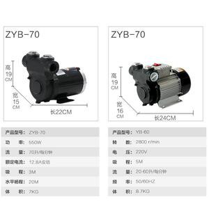柏芮特车载静音加泵交流直流吸泵122油v4v220V539加油自站柴油抽