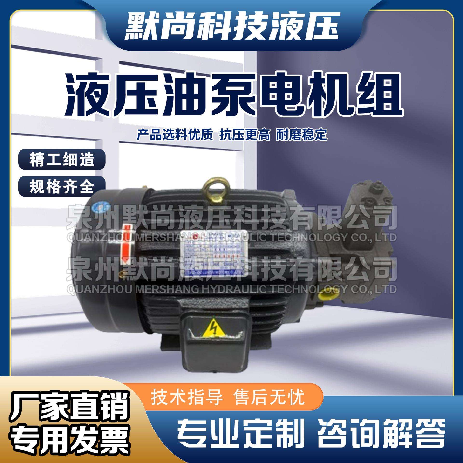 液压油泵电机组VP20+0.75KW1.5液压泵总成内轴电机液压站配件系统图片
