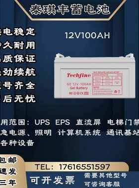 Techfine泰琪丰蓄电池 12V100AH直流屏 电梯门禁 UPS/EPS电源主机
