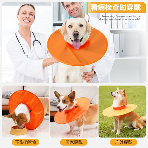 新款直销宠物用品跨境货源狗狗伊丽莎白圈防水防舔舐伤口中大型犬