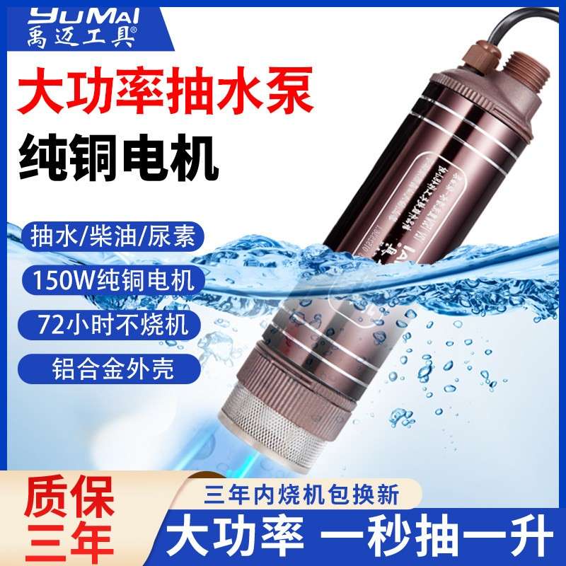 12v抽水泵小型大功率电动抽水器潜水泵家用24V直流220v油水两用泵