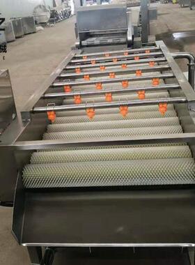 平行毛辊清洗机海蛎子清洗机扇贝清洗机机械