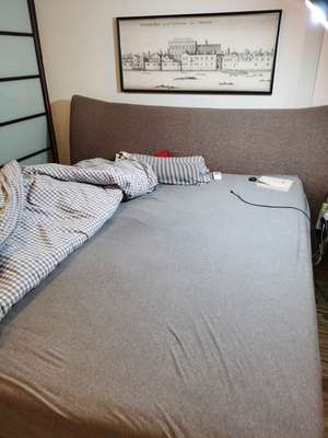 dunlopillo特拉乳胶床垫怎么样?为什么说我后悔了?