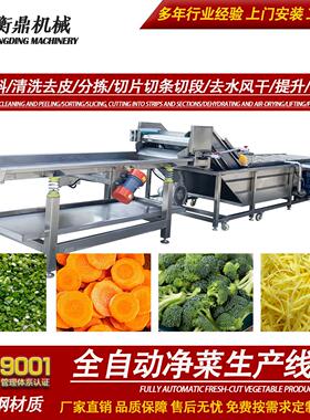 全自动净菜加工设备 中央厨房果蔬处理设备 预制菜加工生产线