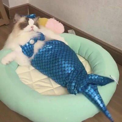 Cat Mermaid Outfit Stylish Cat Mermaid Costume with