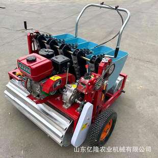 四川电动大蒜种植机省人工蒜瓣播种机深浅可调农用播蒜机