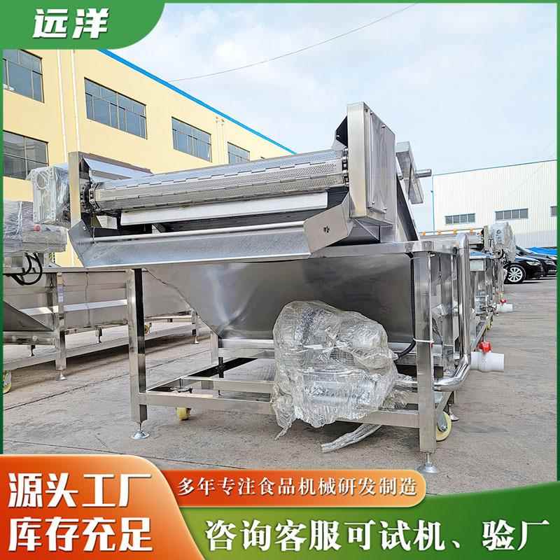 粽叶气泡清洗机杨梅草莓加工清洗机秋葵海带清洗设备厂家供应