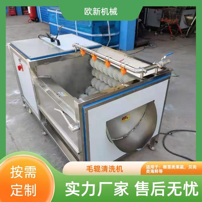 商用根茎类果蔬毛辊去皮清洗机水果去泥毛刷清洗机土豆红薯去皮机