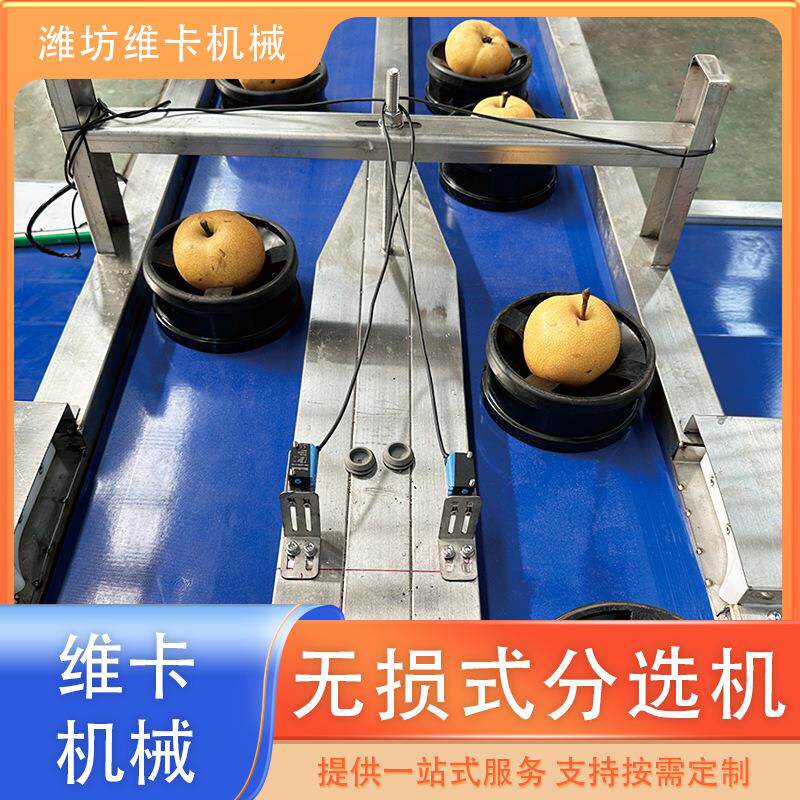 水果糖度检测分选机桃子无损分选机价格全自动橙子选果机厂家