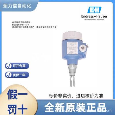 FTL31-AA1U2AAWBJ 恩德斯豪斯E+H 音叉液位开关 压力变送器 电极