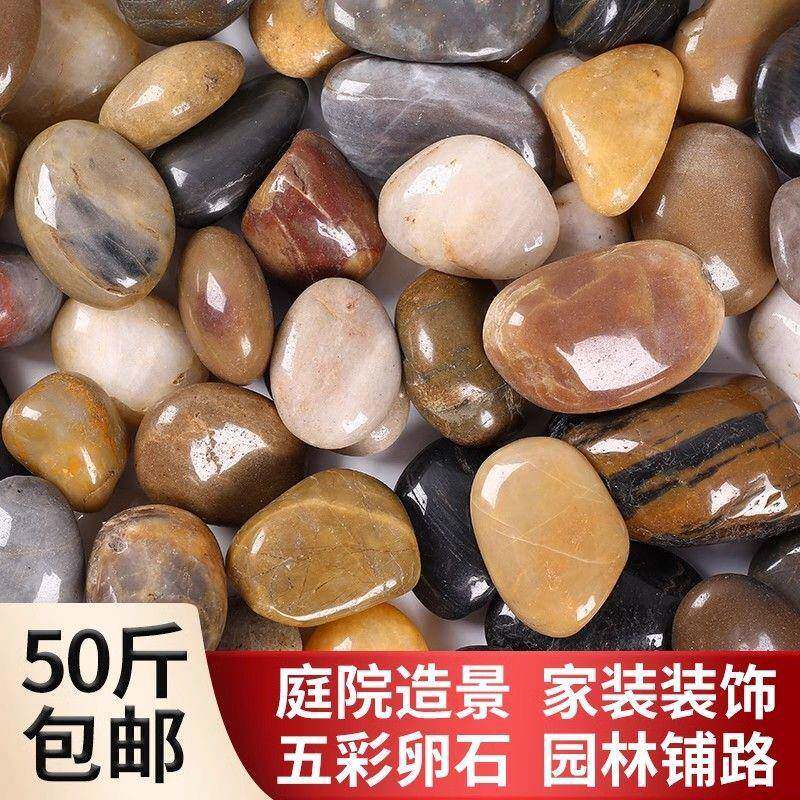 50斤五彩色鹅卵石小石头铺路庭院铺阳台鱼缸天然原石雨花石造景厂