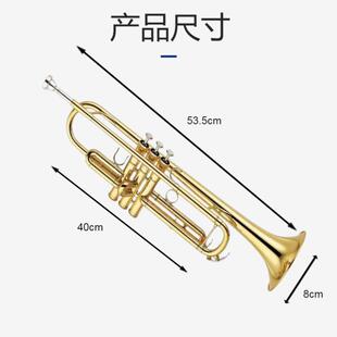 小号乐器降B调pyxh001学生初学入门级小号乐器专业演奏级管乐器