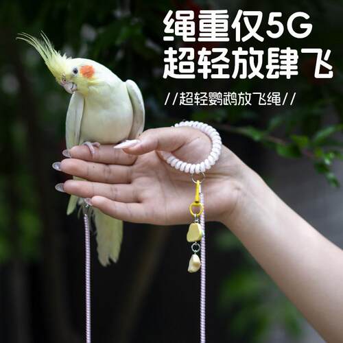 鹦鹉超轻放飞绳小鸟外出牵引绳不伤脚玄凤小太阳和尚户外遛鸟神器