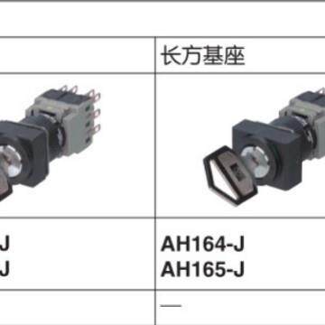 富士16孔HKWF径方形钥匙选择开AH164-SJ2A2A2档2A2BA2165-关J2A