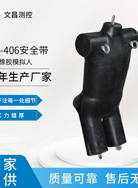 常0州试 WK-WK-40646安全带测试假人100kg 测安全带仪 现货速发