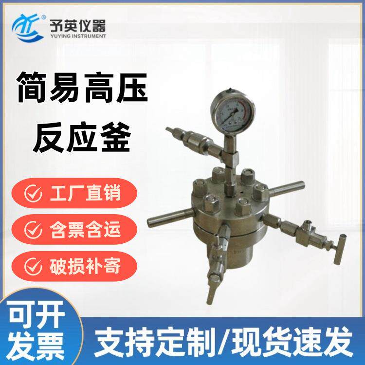 耐高温CF不锈钢简易高压反应釜25ML-500ML