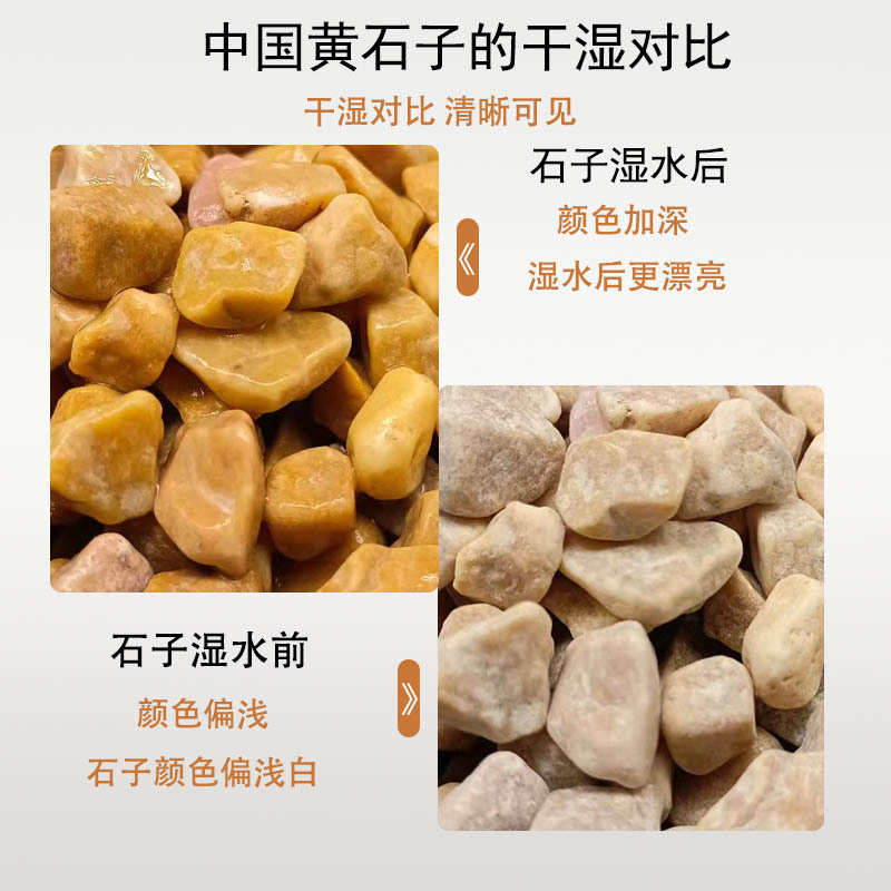 石石子砾石黄石黄色石黄色园林景观铺地造景水洗黄色庭院子中国