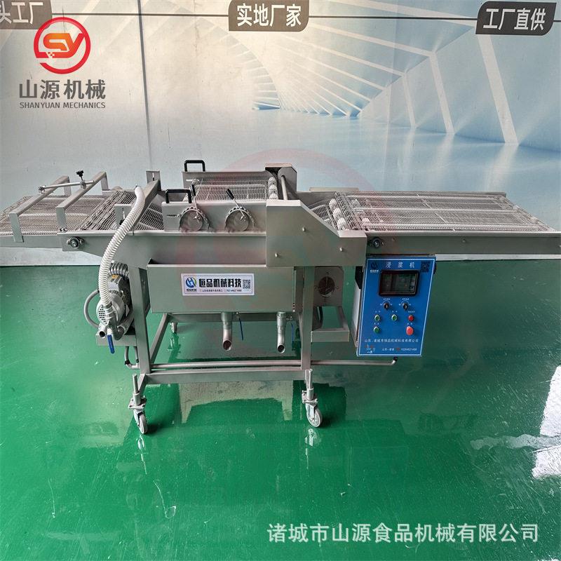 600型土豆片上浆机 全自动挂糊裹浆设备 姜串挂浆机 裹浆均匀