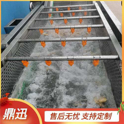 果蔬清洗机 净菜加工清洗机 蔬菜气泡清洗机 鼎迅机械