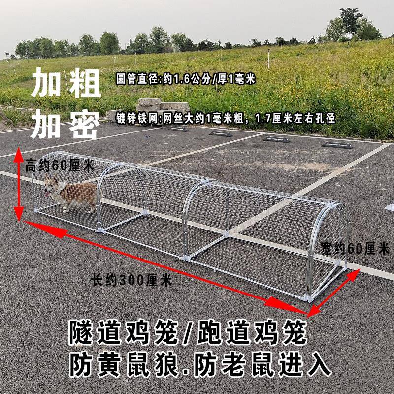 腐养殖棚跑鸡笼镀锌网网笼防防锈户外养鸡道隧道TNW兔子跑铁笼走