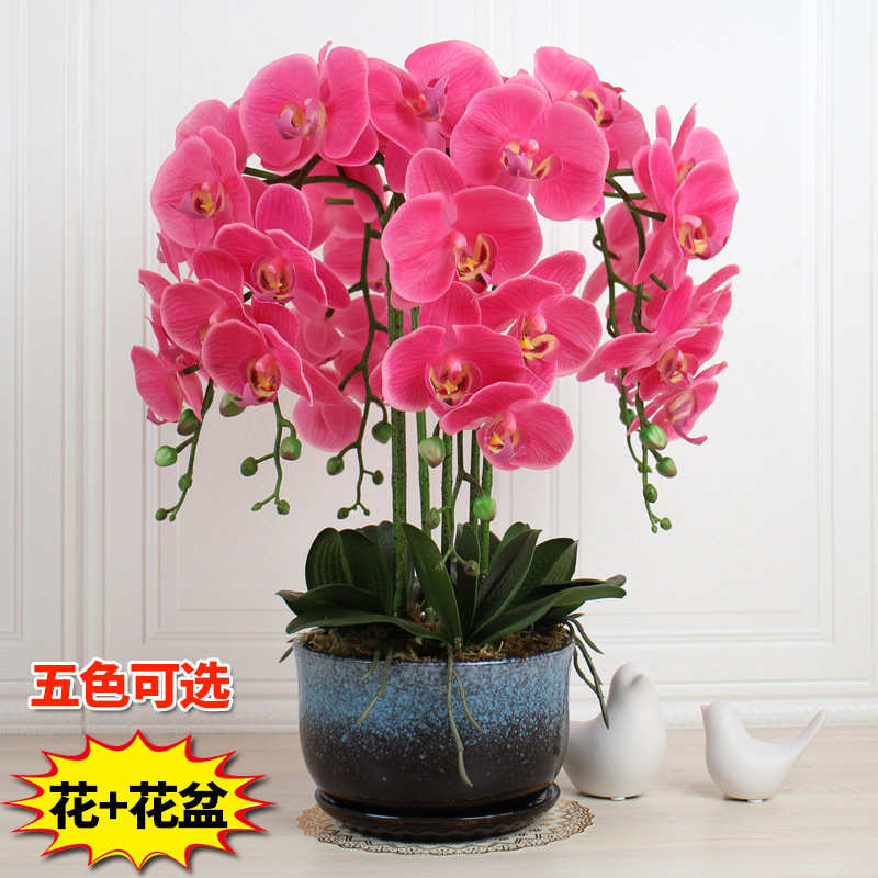 带盆PU蝴蝶兰仿真花手感保湿假花酒店样板房前台楼盘展厅装饰摆设