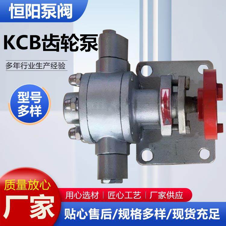 CB齿轮泵不锈钢材质电动抽油泵红糖蜂蜜洗衣液输送泵厂家