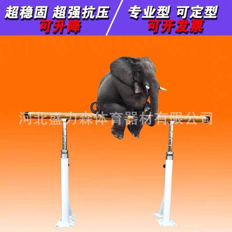 落地式固定式可升降舞蹈把杆 家用舞蹈压腿杆 壁挂式舞蹈房把杆