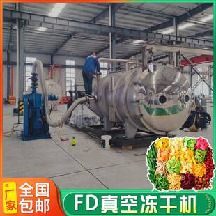 冻干孢子甘蓝果机械果蔬丁灵芝孢子粉大型100平方米真空冻干机