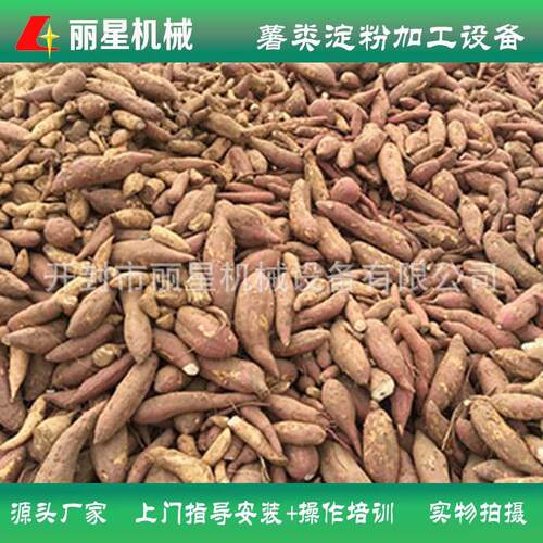 丽星厂家供应的淀粉提取设备可提取红薯、马铃薯、洋芋等作物