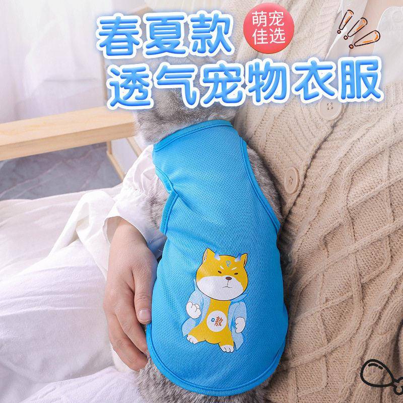 宠物衣服狗狗小型犬比熊泰迪幼犬猫咪防掉毛夏季薄款透气背心