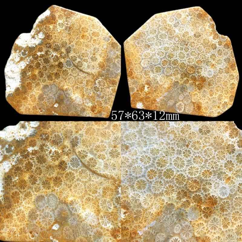 高档印尼原矿天然珊瑚原花石矿料玉饰摆件菊玉石手把件装饰品片料