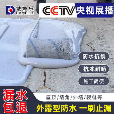 戴姆乐丙烯酸防水涂料彩钢瓦铁皮金属屋面屋顶地下水泥基防水涂料