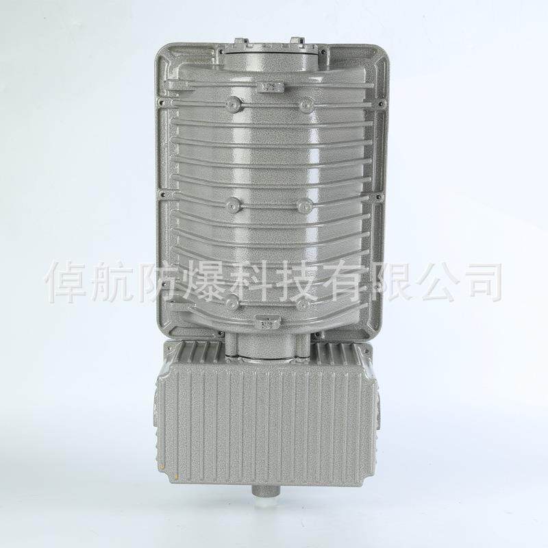 防爆泛光灯250W-400W防爆投光灯连体防爆厂房照明灯 防爆路灯 金